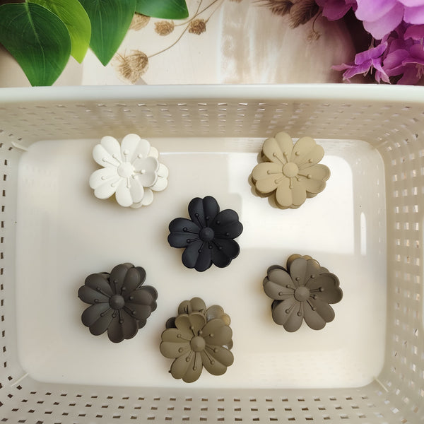 Claw Clip Variety Pack β Set of 6 Different Hair Claws