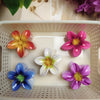 Floral Hair Claw Combo - Set of 6 Mixed Design Clips